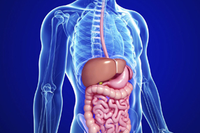 esami gastroenterologici roma