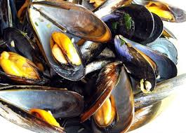 epatite virale, epatite A frutti di mare, epatite cozze, epatite alimentare