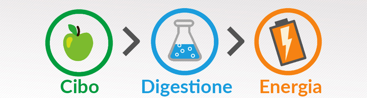 dimagrire in menopausa. Metabolismo basale