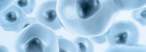 conservare cordone ombelicale