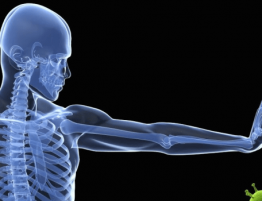 Ossigeno Ozono Terapia